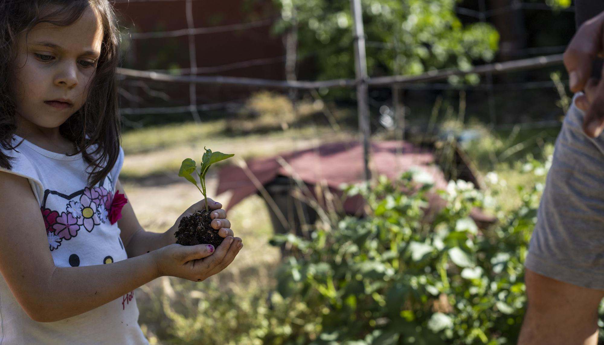 Huerto rural autoconsumo - 7